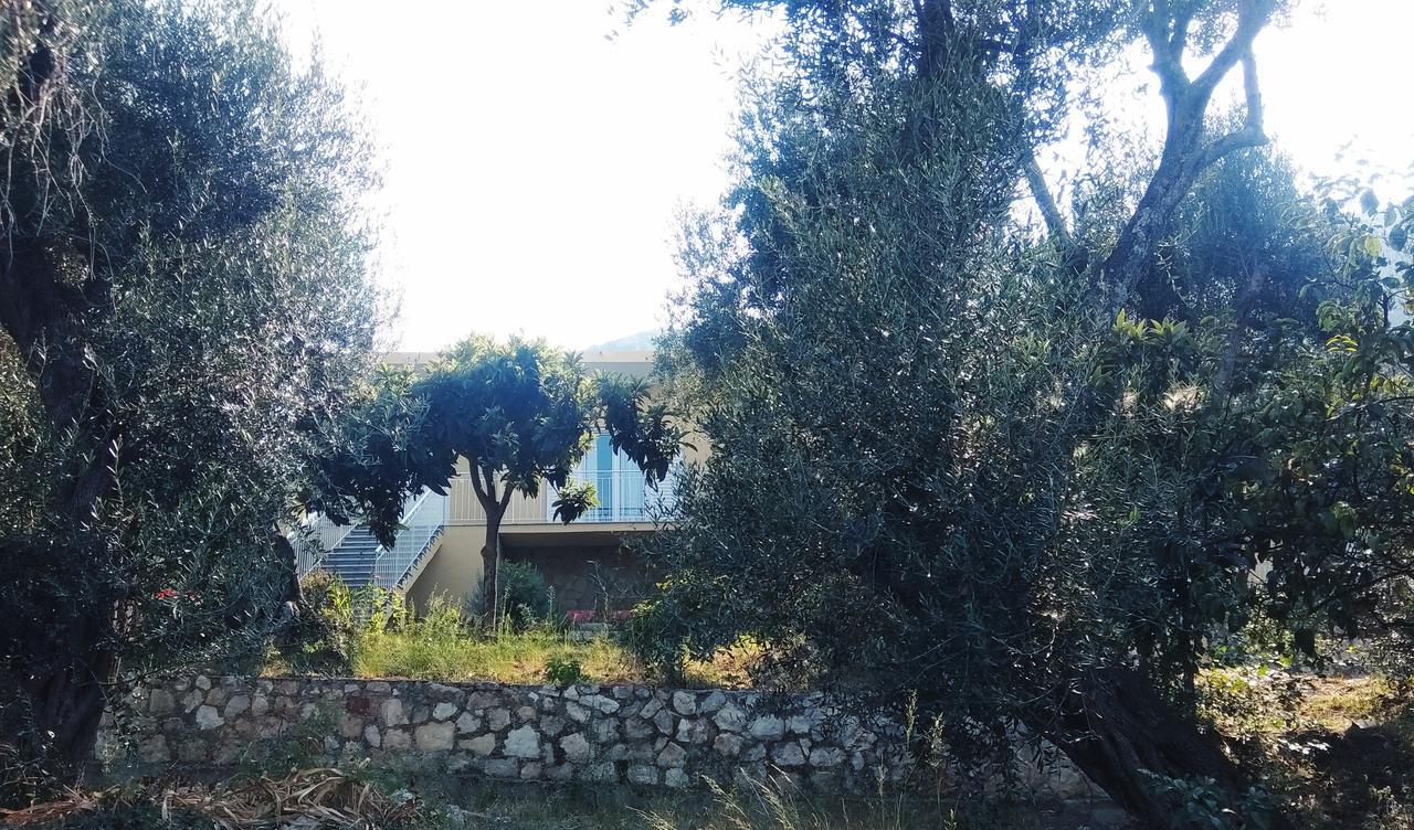 Barbara'S Sea View Home Беницес Екстериор снимка
